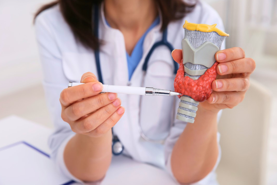 Thyroid Testing offered by Novalab in NJ
