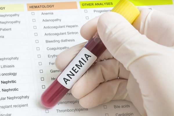 Anemia Markers Test